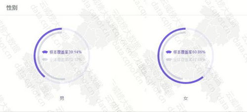 云威榜重庆互联网商务服务行业观察 代理记账领域优秀案例分析报告（第470期）
